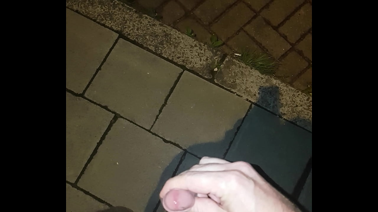 Pissing on self in the street.