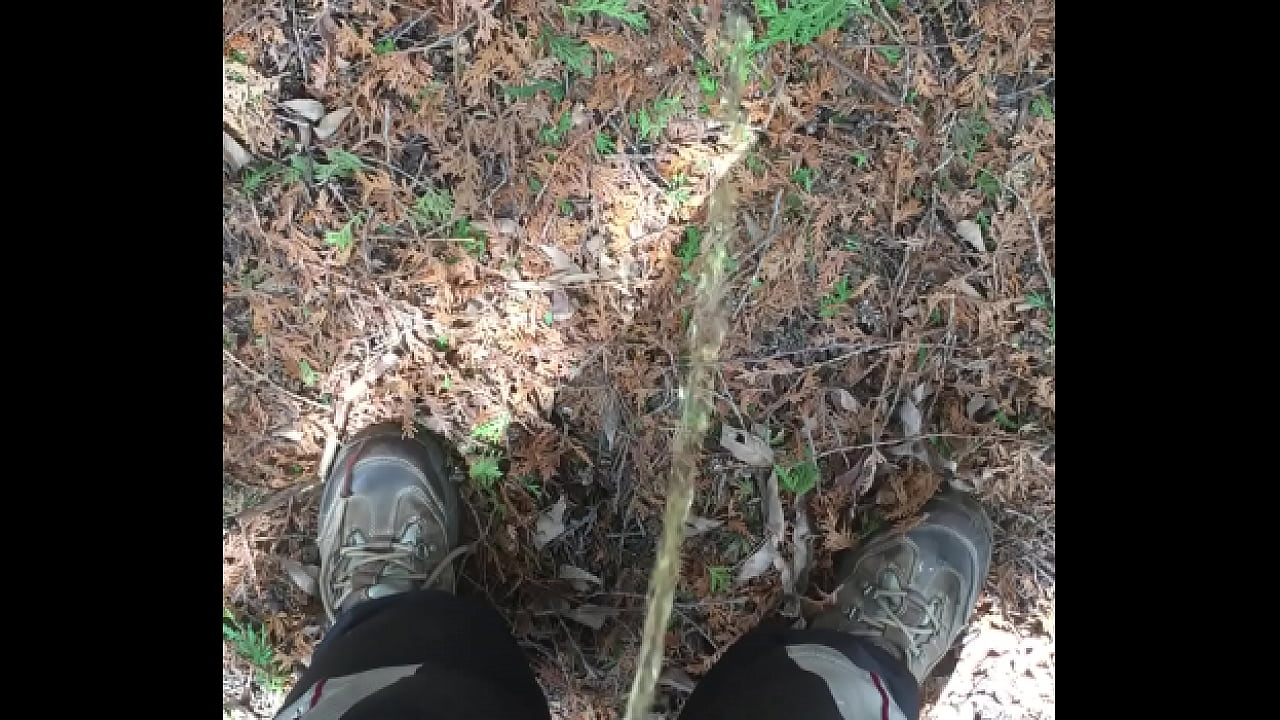 Outdoor Piss POV