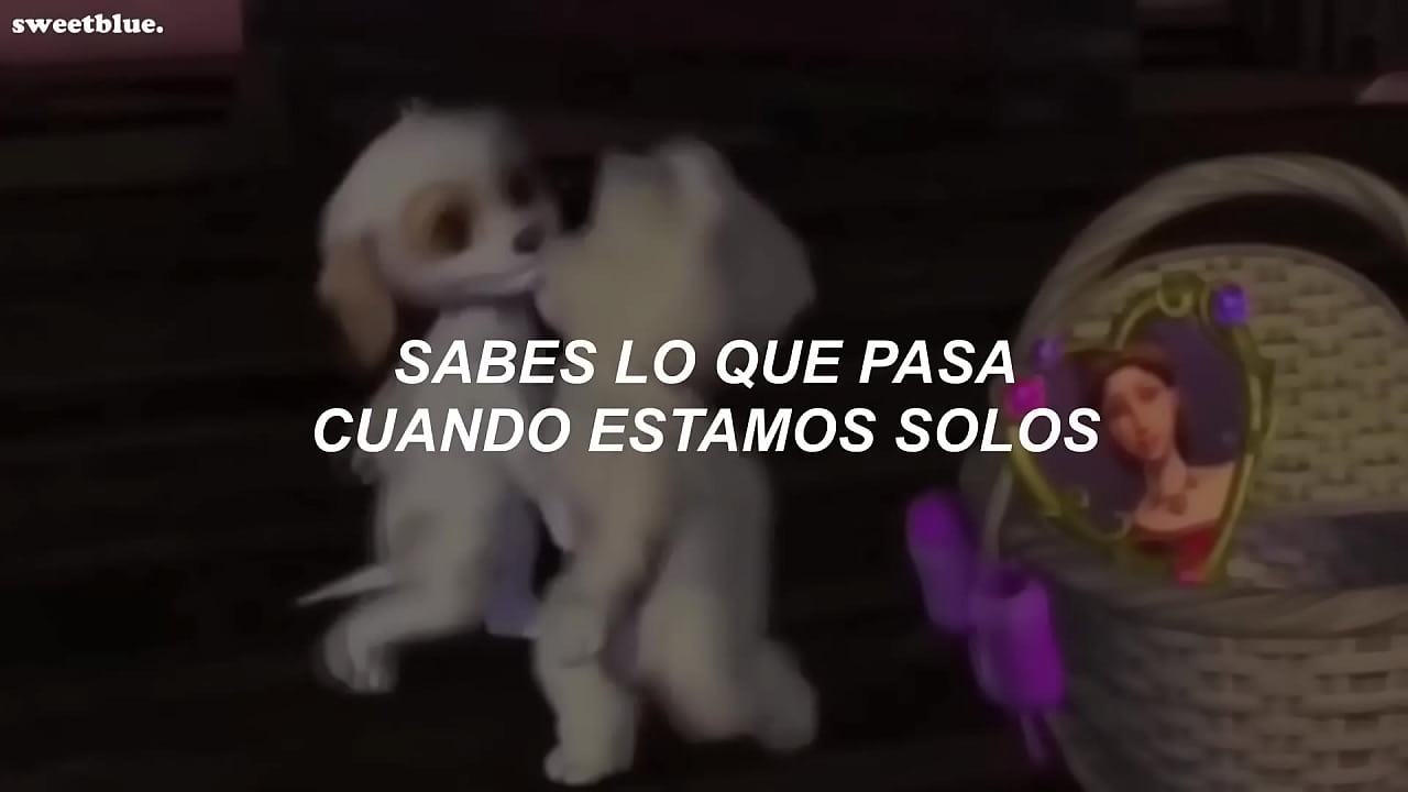 hoy me puse linda para verte (video de los perros vailando)(video oficial)