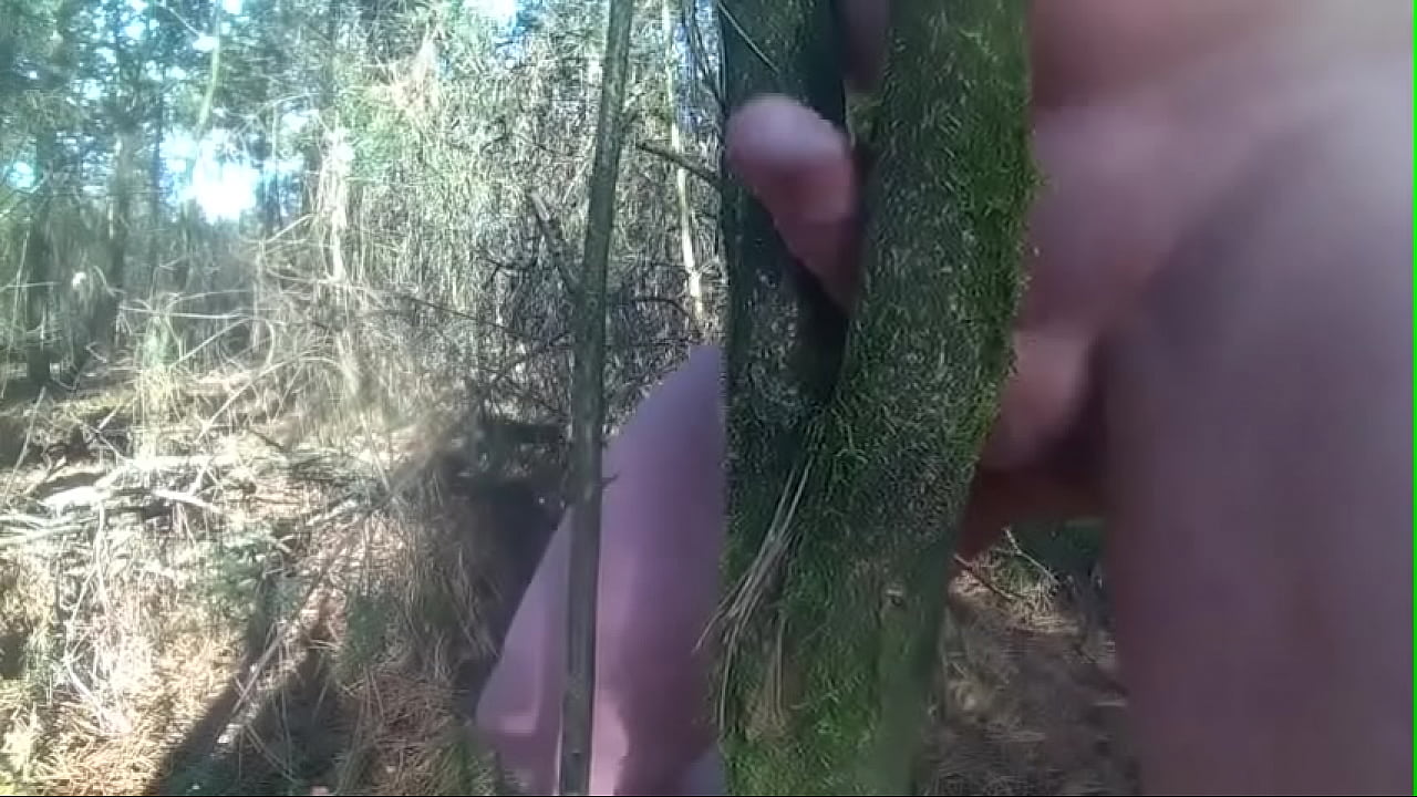 fuck tree deep forest