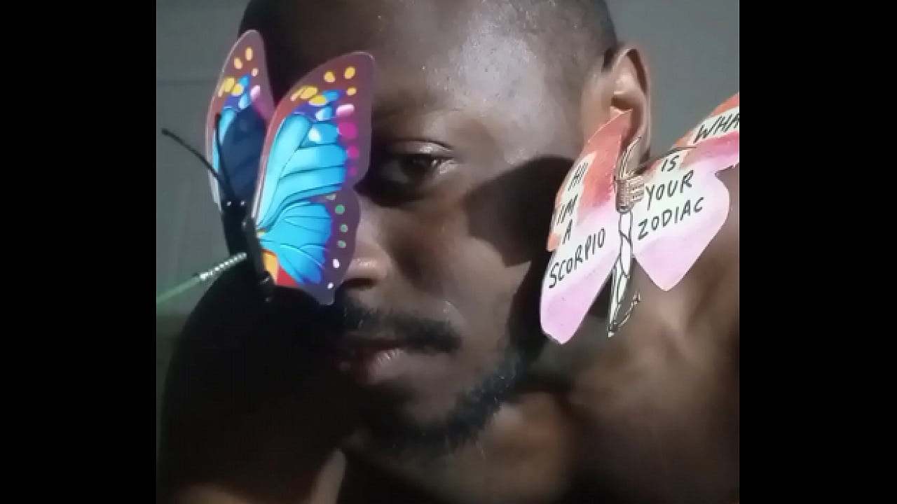 How 2 butterflies look like while having sex