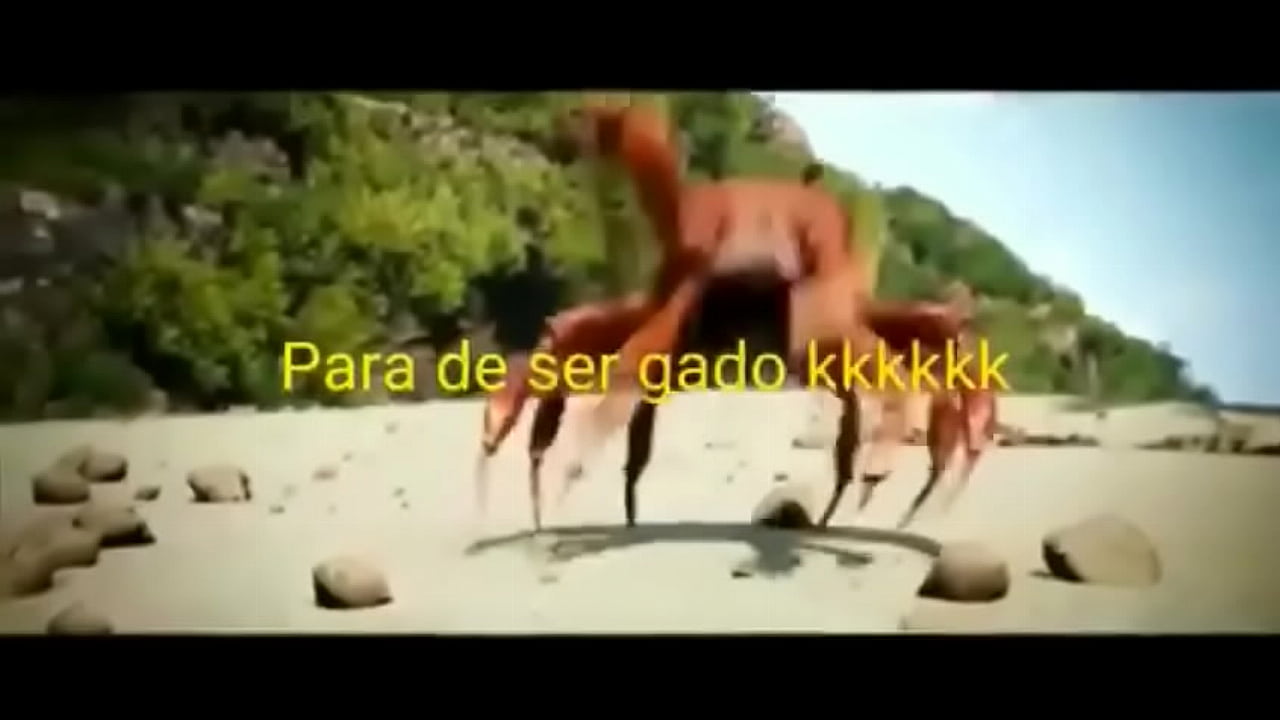 Olha essas coisas gostosas dançando