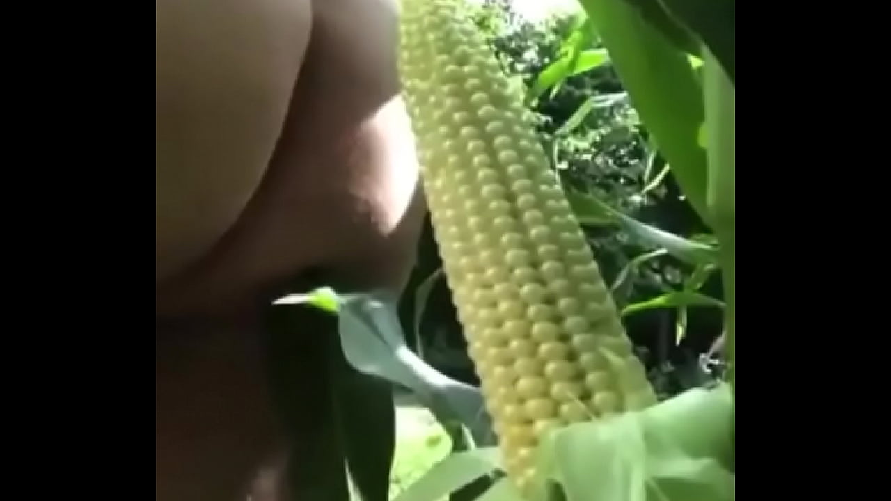 Corn dildo fuck