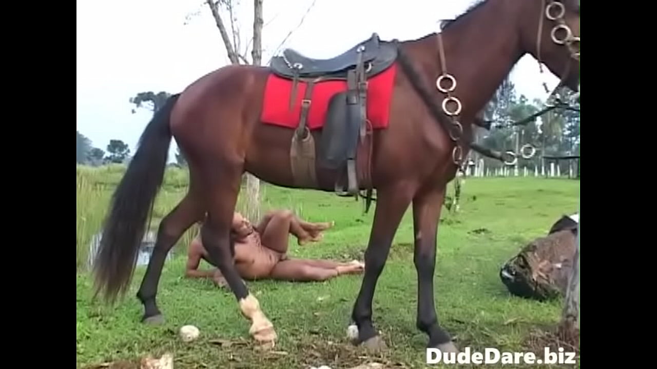 Cowboys fucking outdoors after a thrilling horse ride