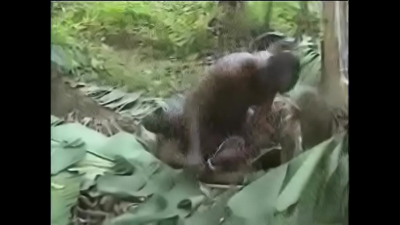 Hot Nasty Raw Hard African Jungle Fucking!!