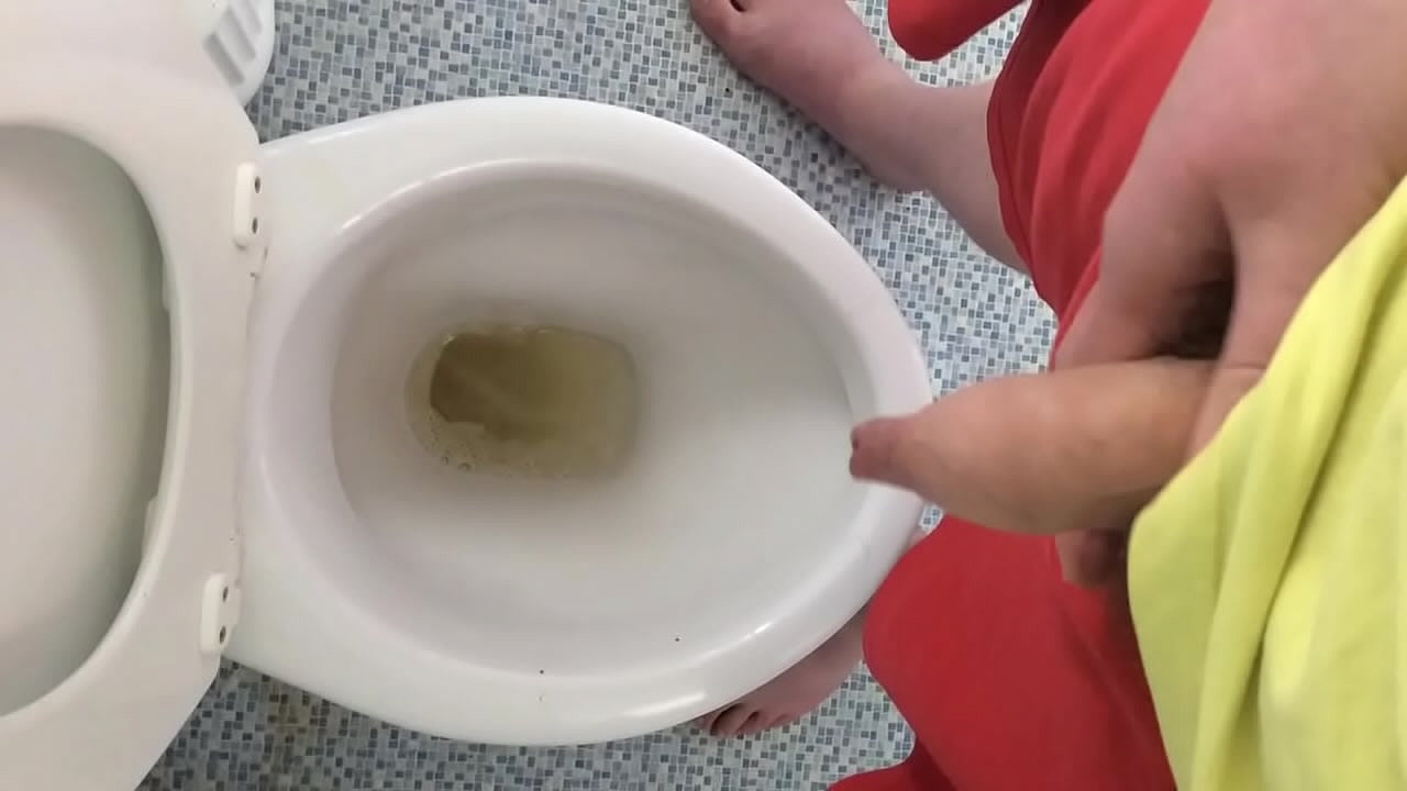 Pissing in the toilet