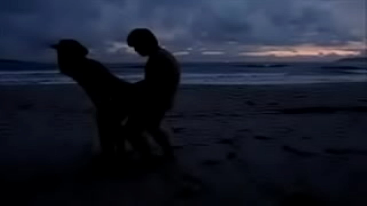 Casal exibicionista na praia