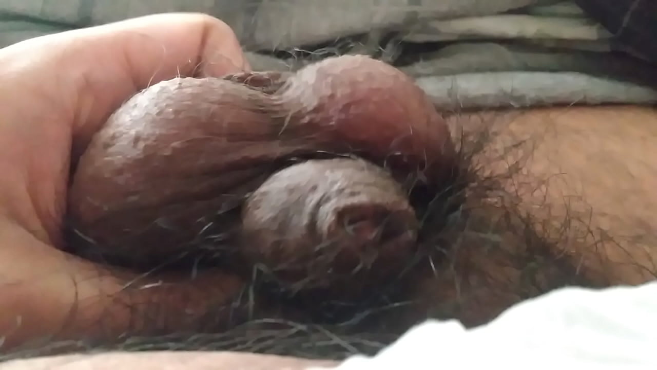 Tiny penis uncut