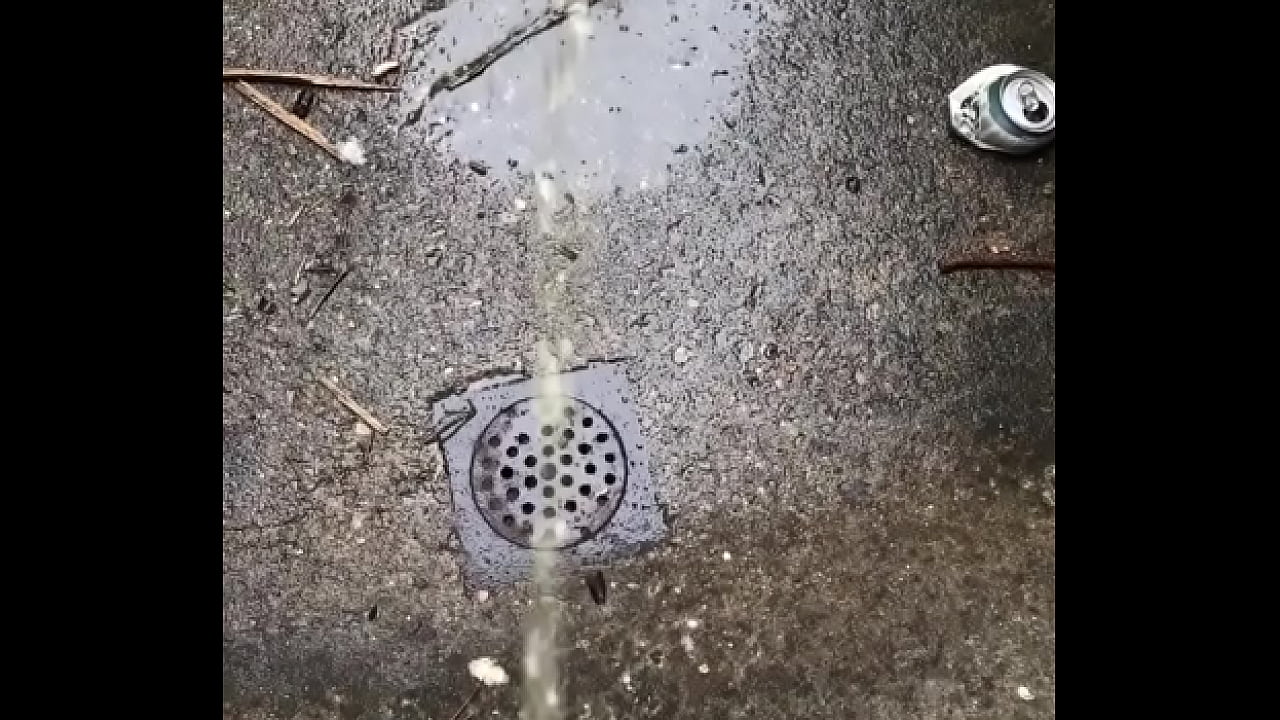 Rainy pee