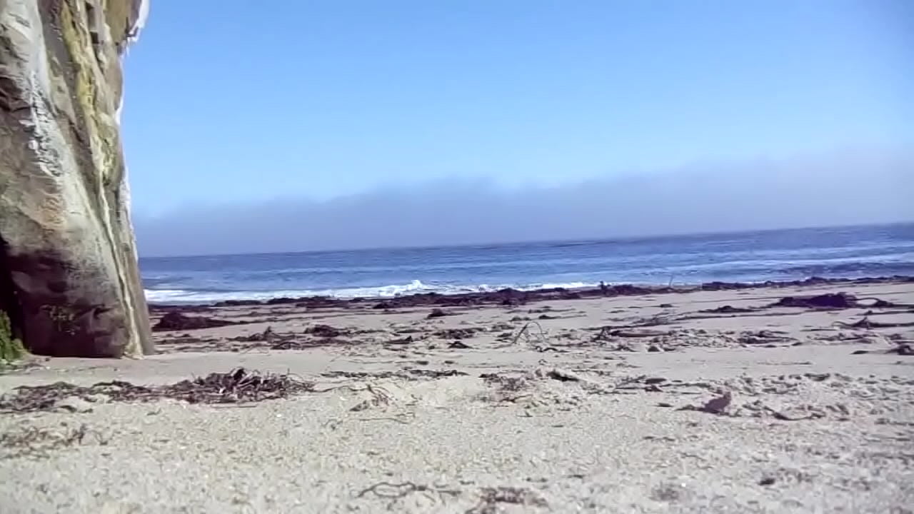 Sunny day at the beach