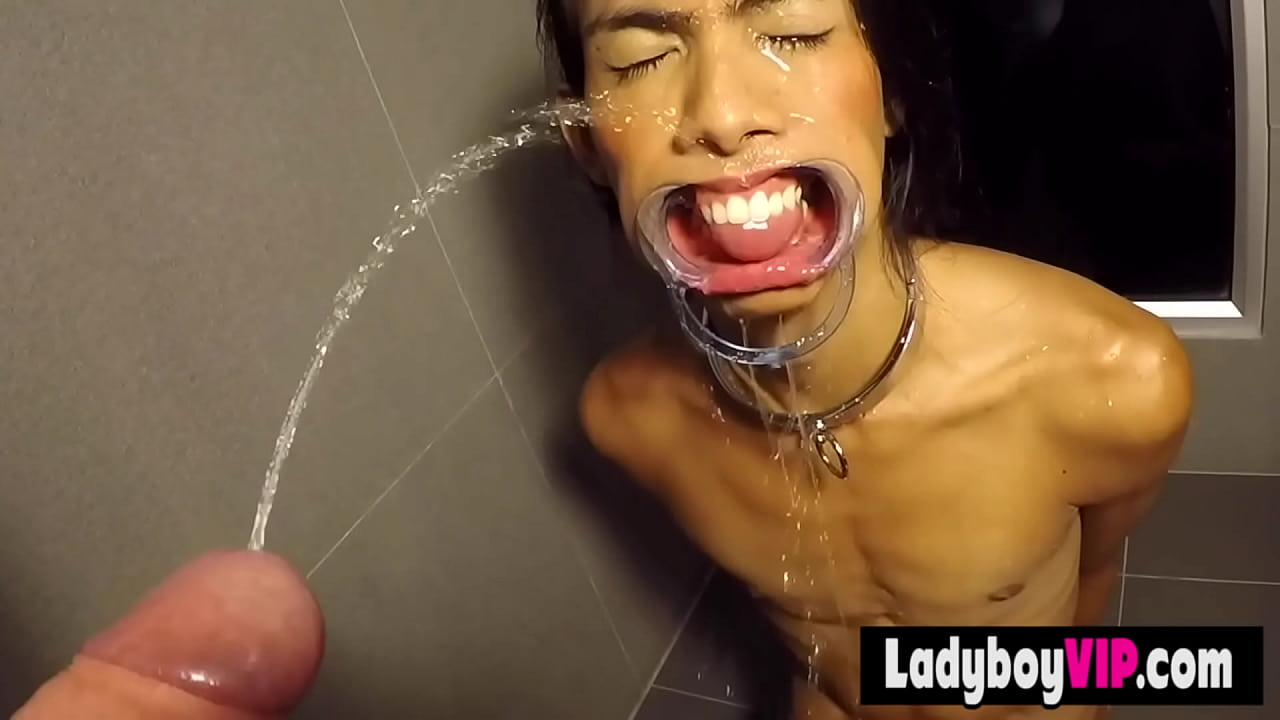 Very nasty fetish session with a luxury asian shemale slut