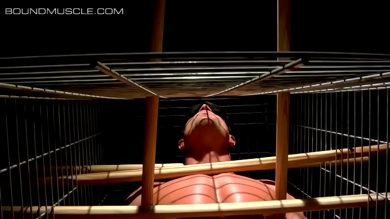 Muscular stud locked in a cage and tormented with a dumbbell tied to his dick