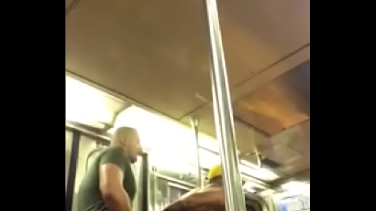 Two Bears Fucking On A Public Train