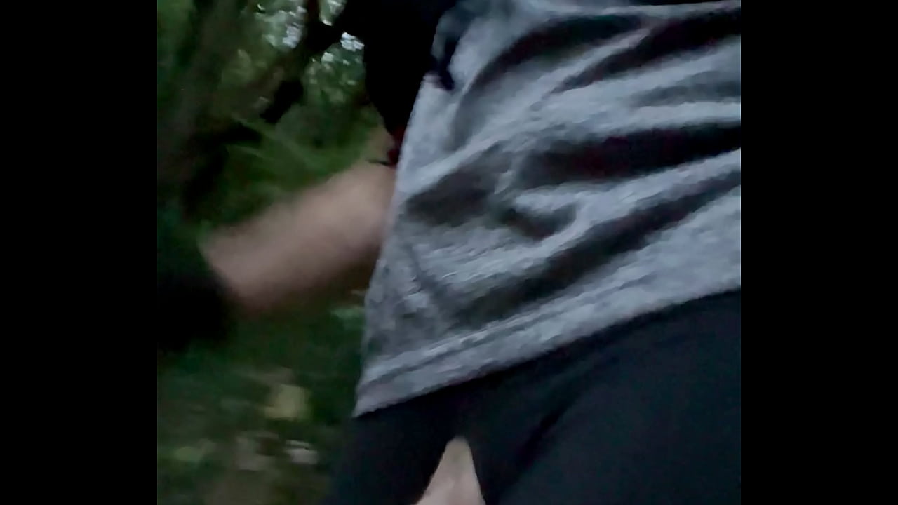 Running cock in to the woods