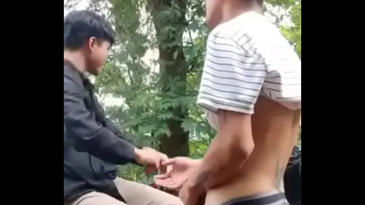 Wild sex in jungle