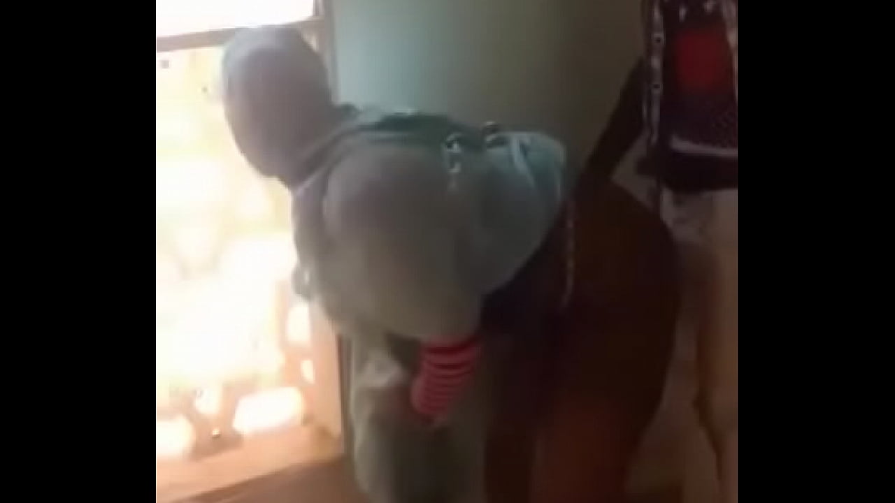 elle se fait prendre par derrière