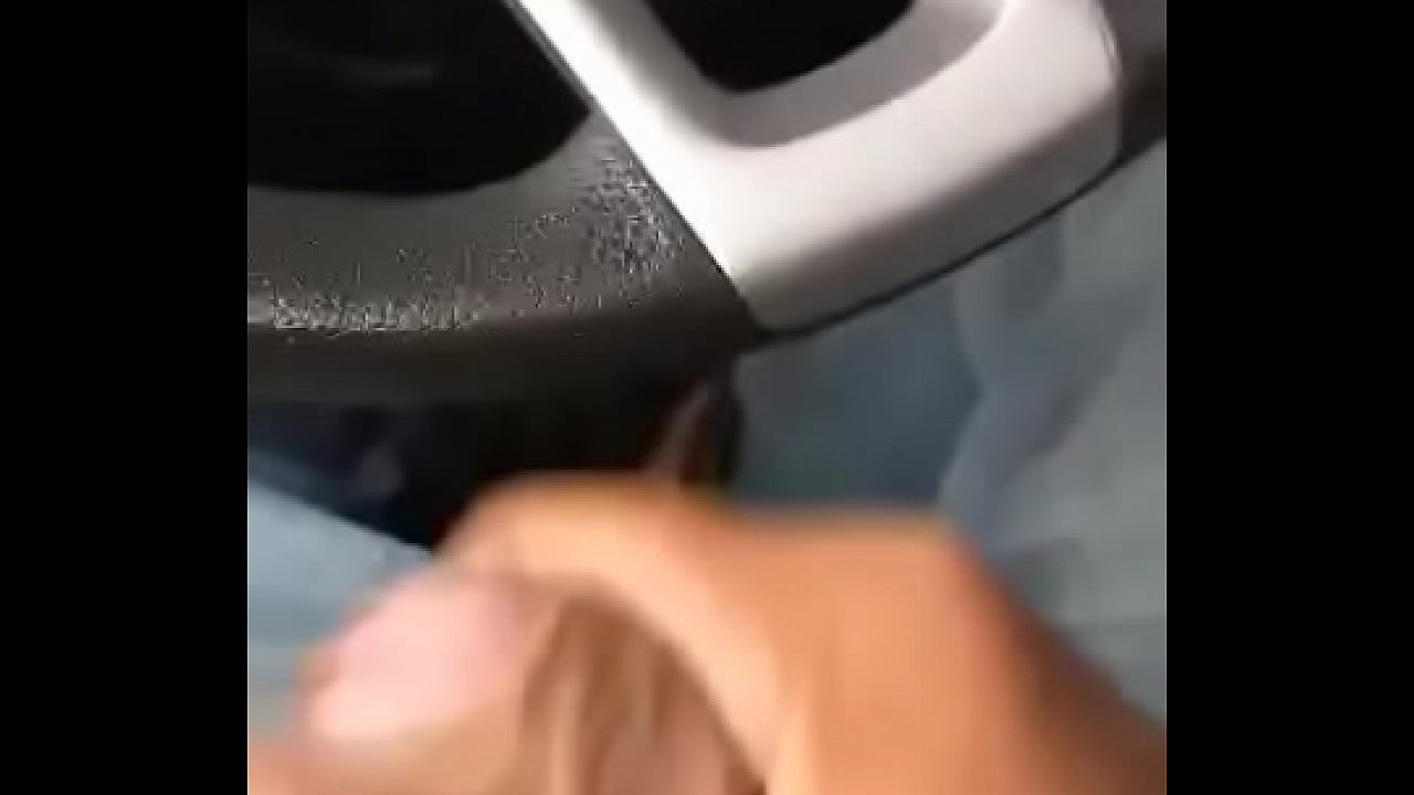 Paja en el auto