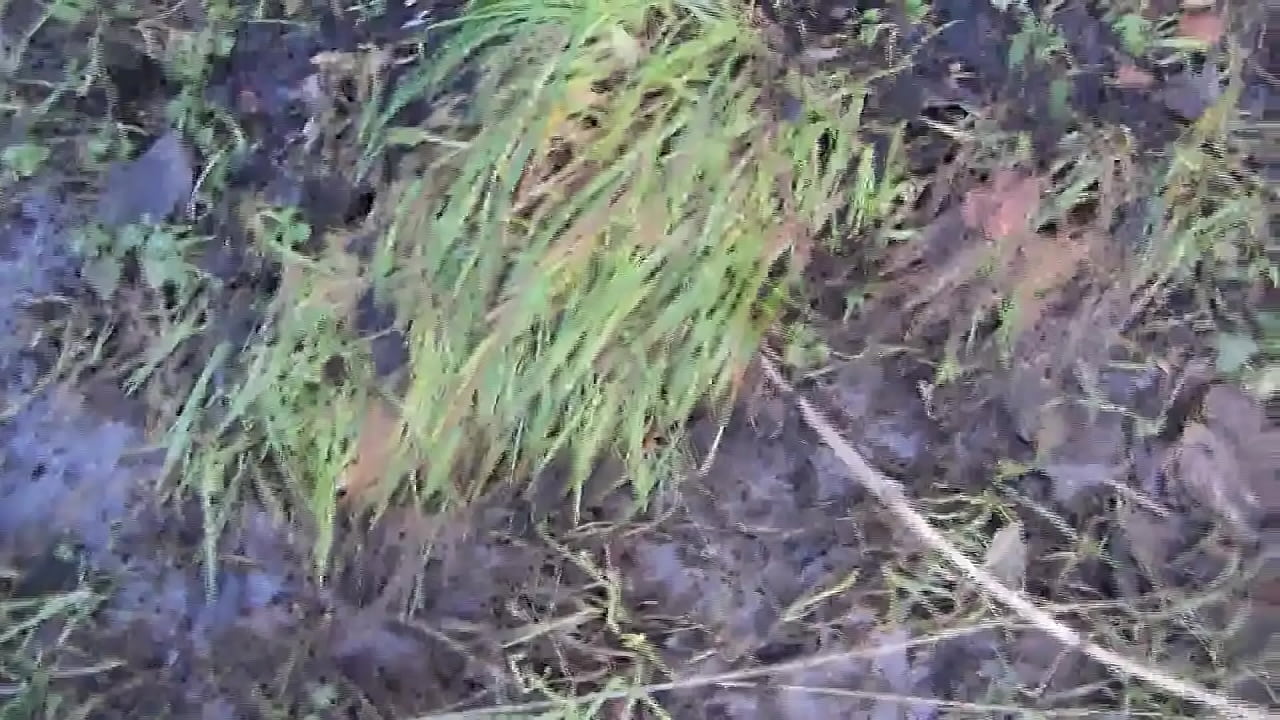 with my winterwellies in the mud