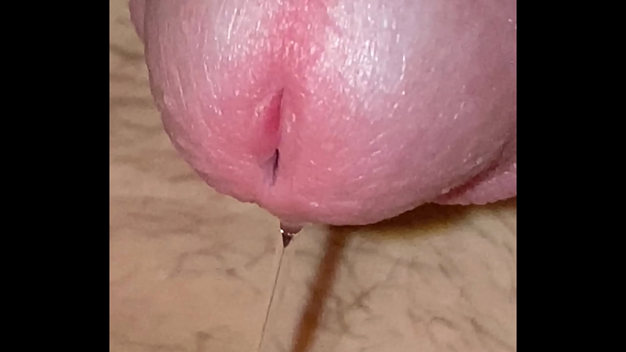 Young boys cock pulsates and drips pre cum