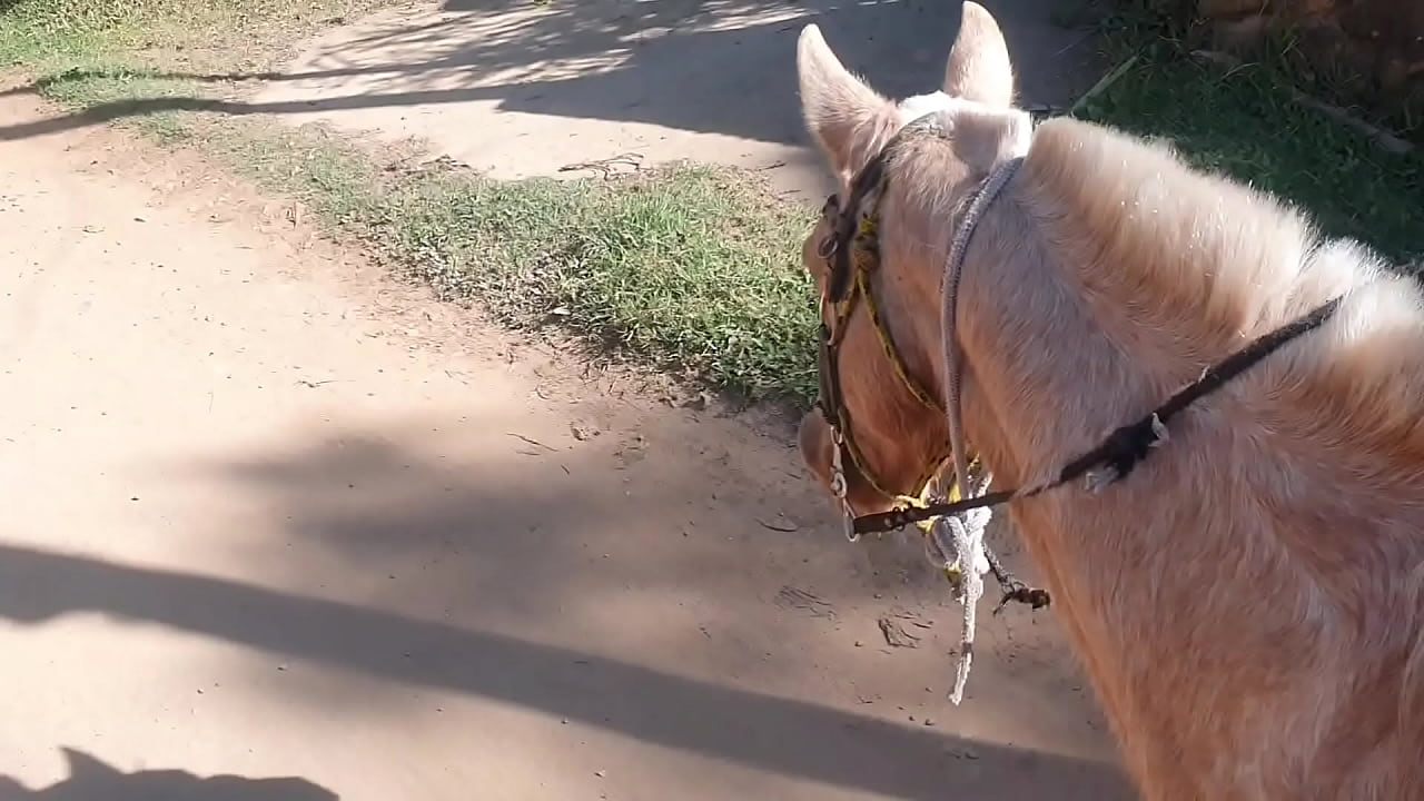 Cavalguei tanto que me exitei tive que descontar com o cavalo