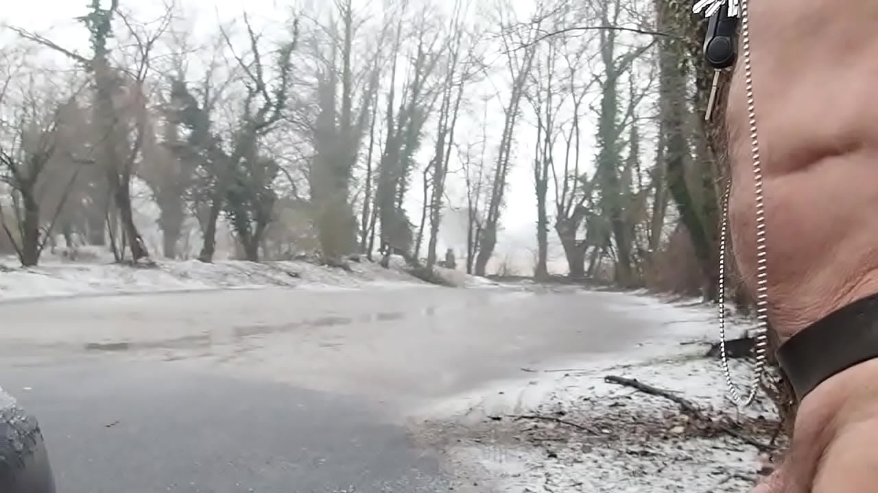 a poil un jour de neige au parc