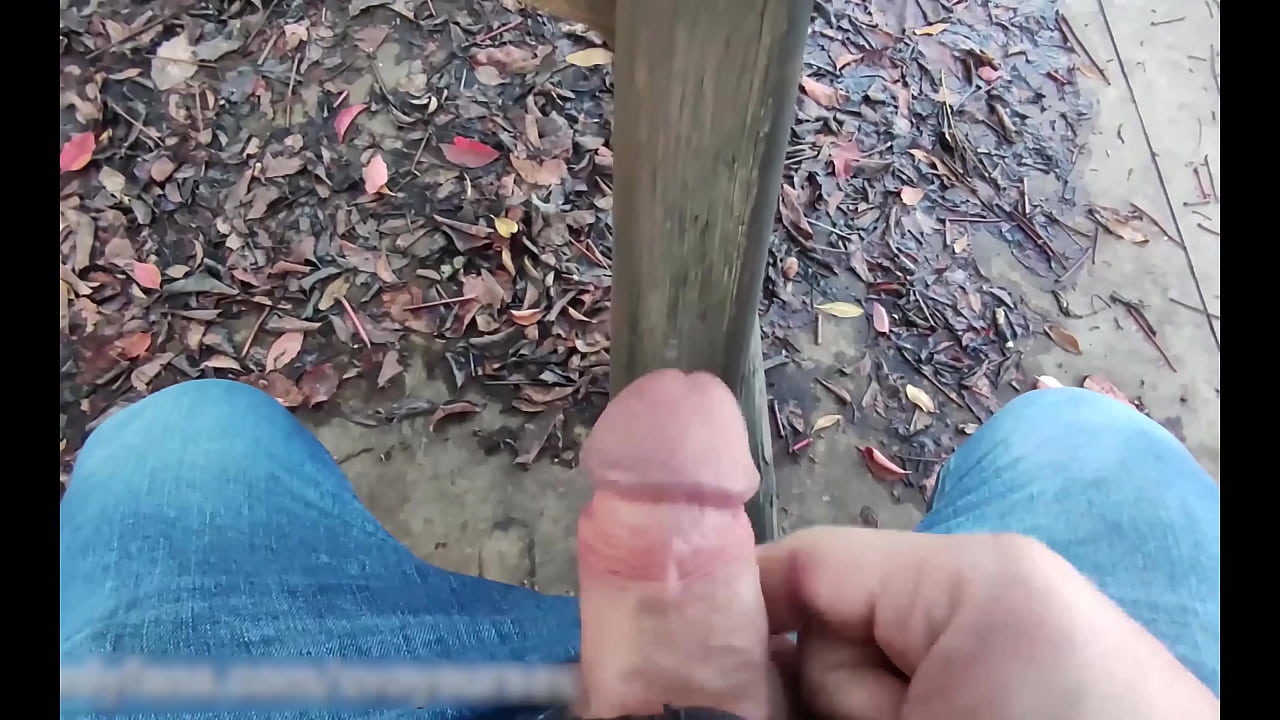 Dick flash - I pull out my cock in front people in the public park with cumshot - 02