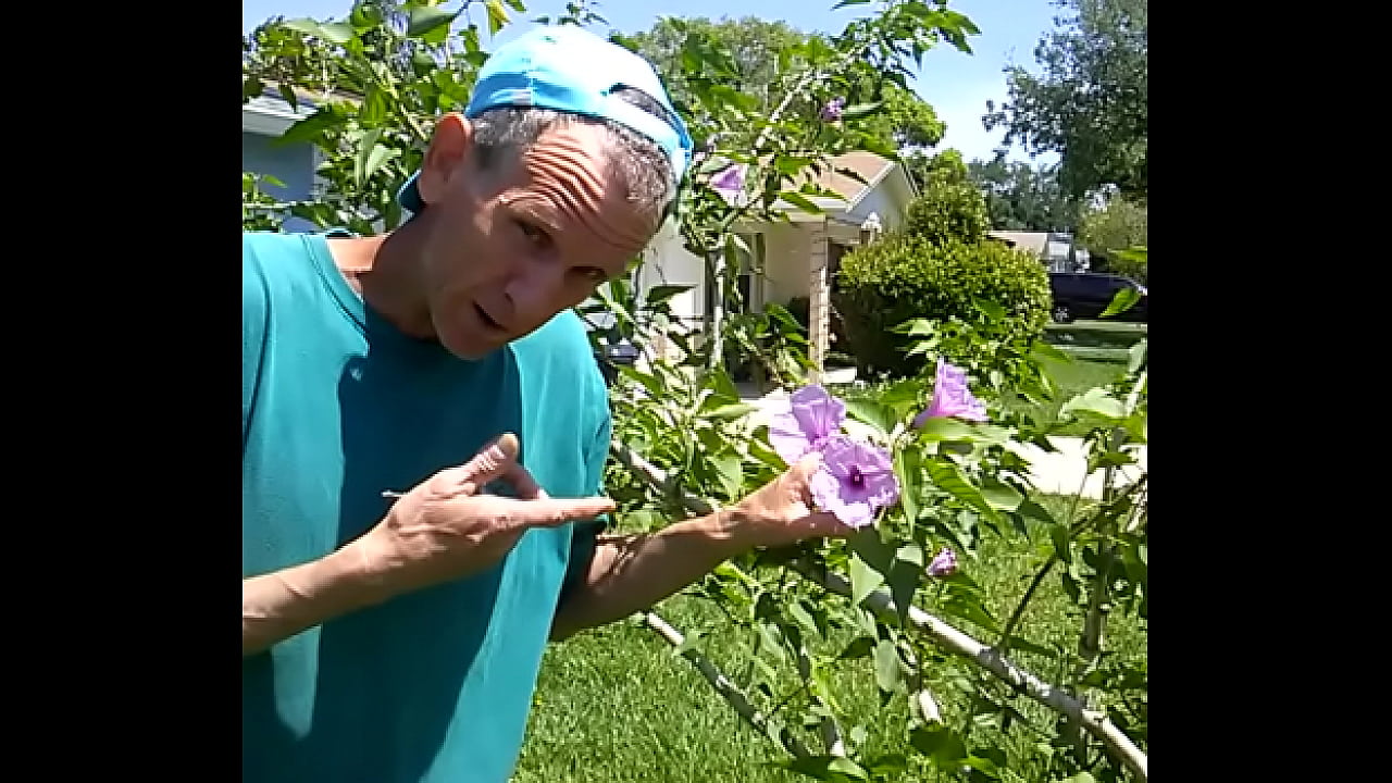 what my haircut looks with flowers