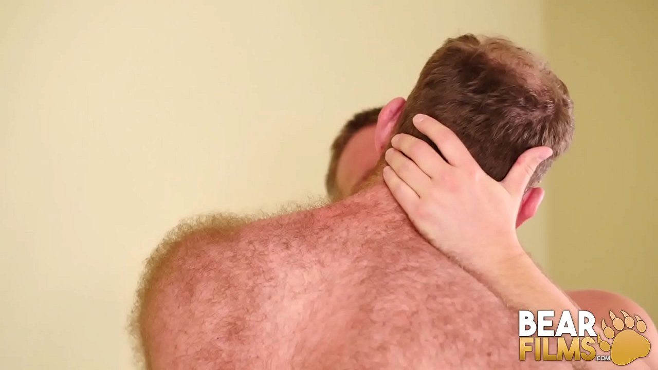 Ginger stud barebacked by naughty bear