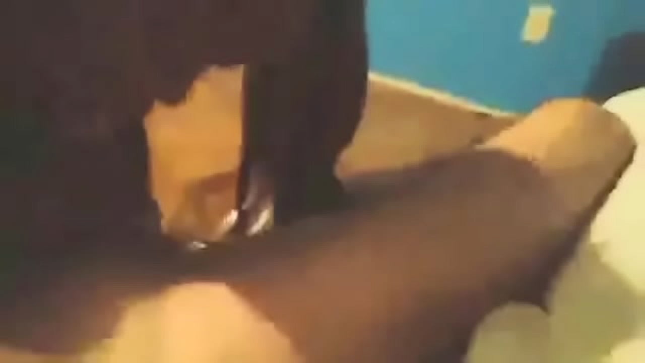 Ebony gf sucks and gets creampied