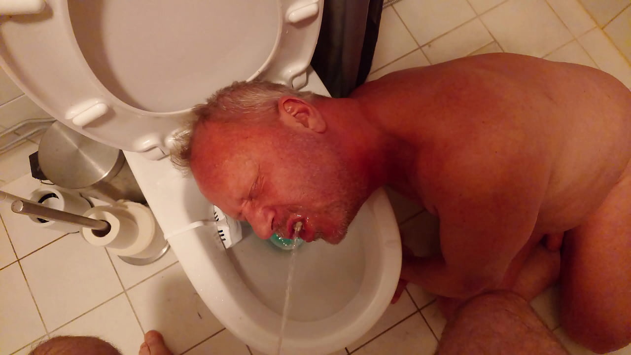 Use my slave as my personal toilet and drink my piss (2024/03/19)