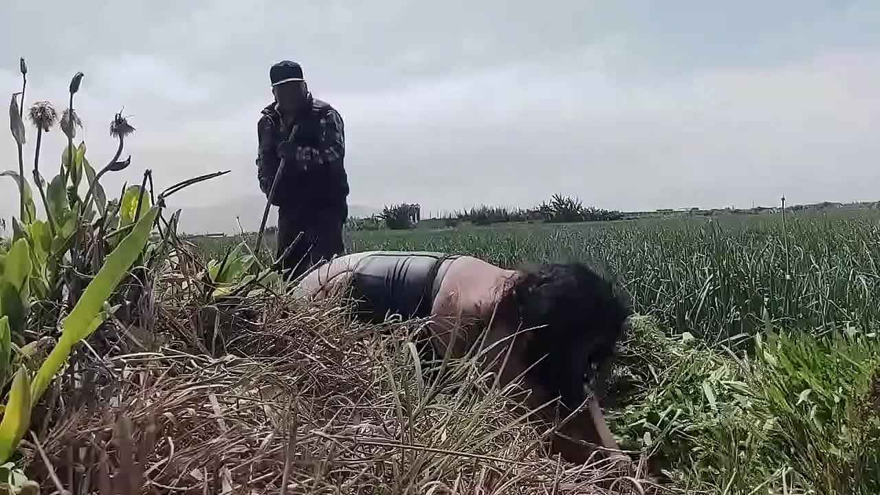transvestite elizabeth shows her ass to farmer in the field