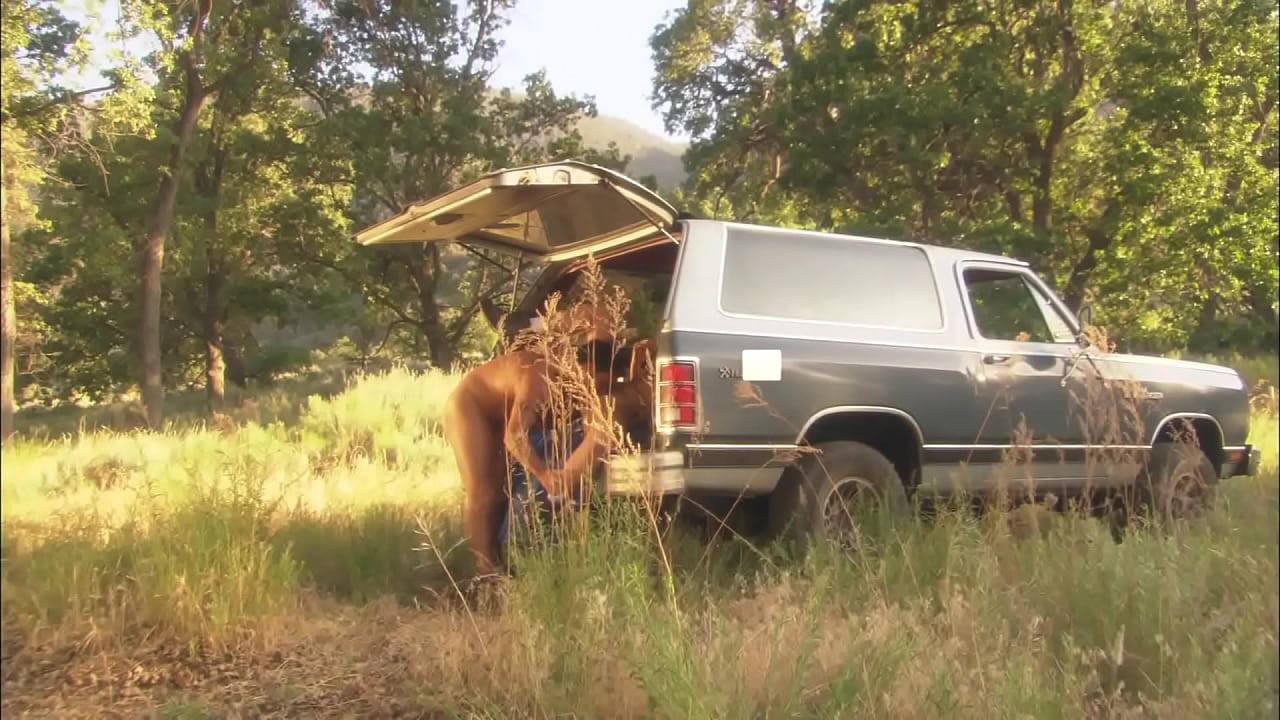 Family fantasy - Stepmom fucked next to car during summer picnic