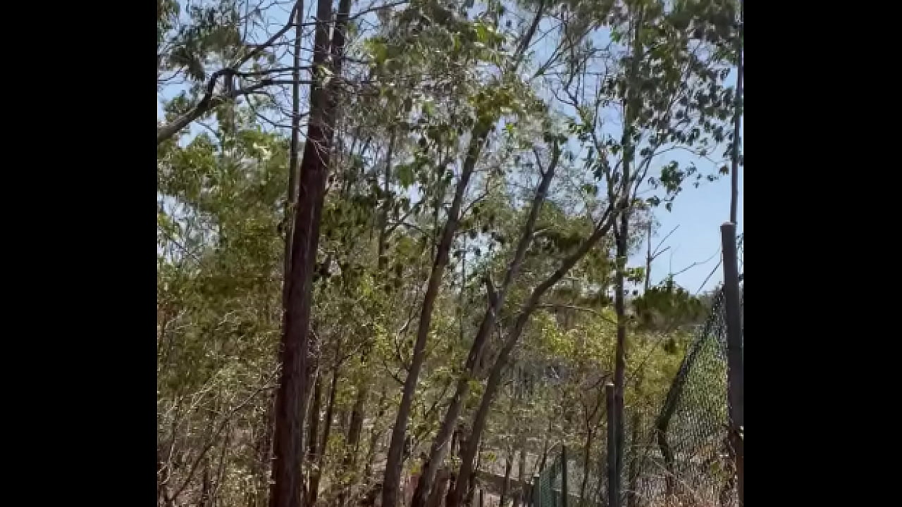 Rob Venuta (aka punycunt) shows himself totally naked and erect in full view of traffic and bike path users