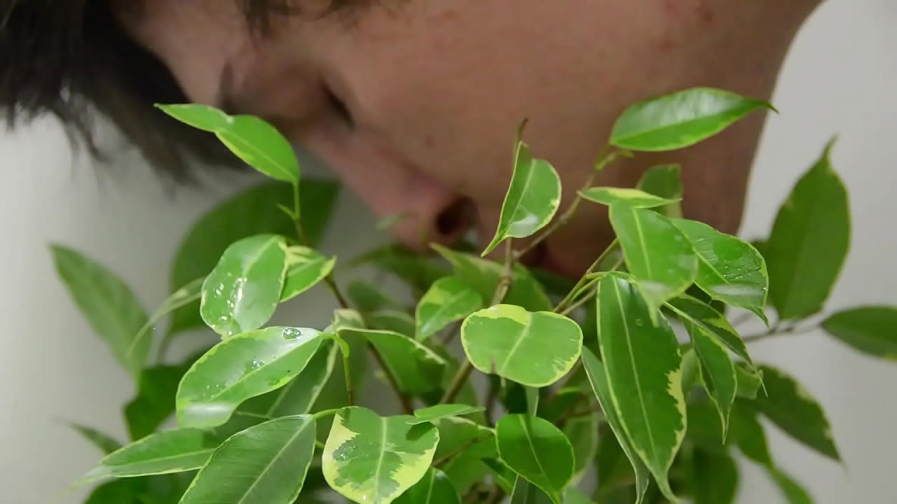 Man Kisses Plant