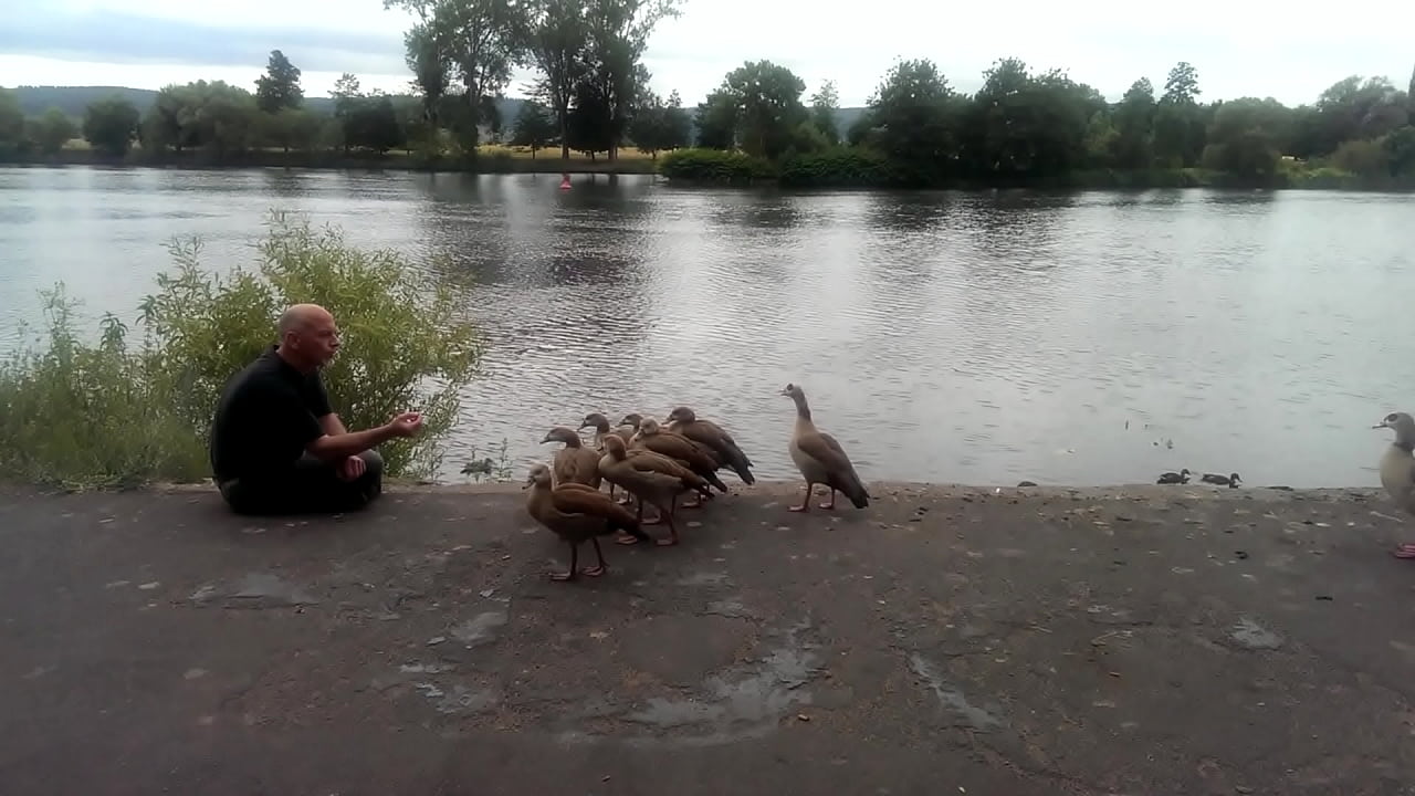 Mosel Juni