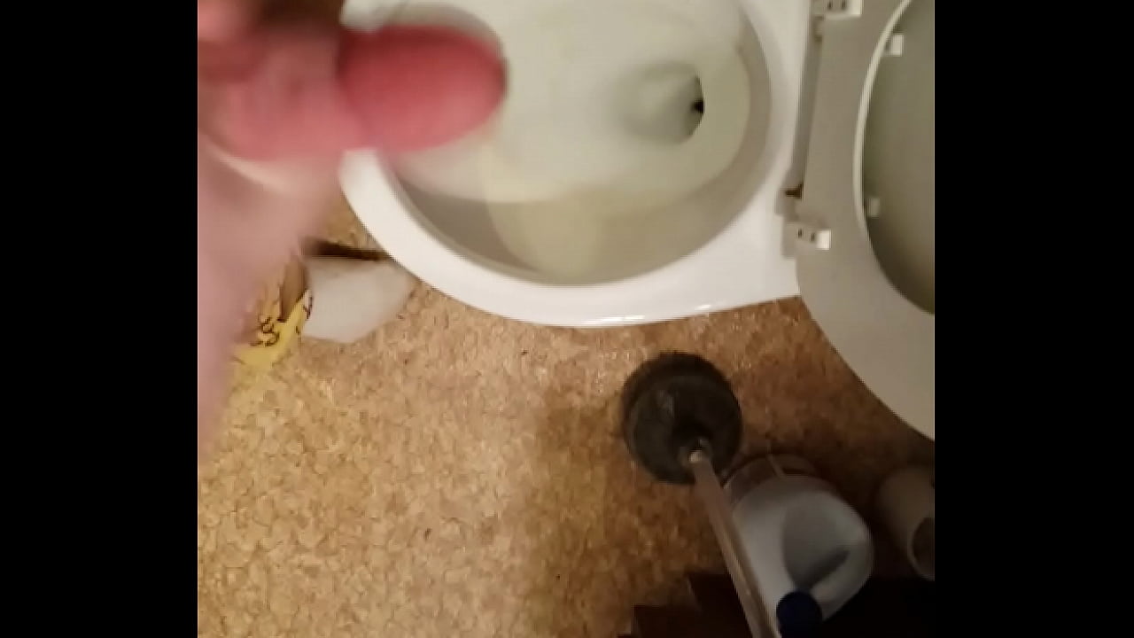 Huge load masturbating in toilet