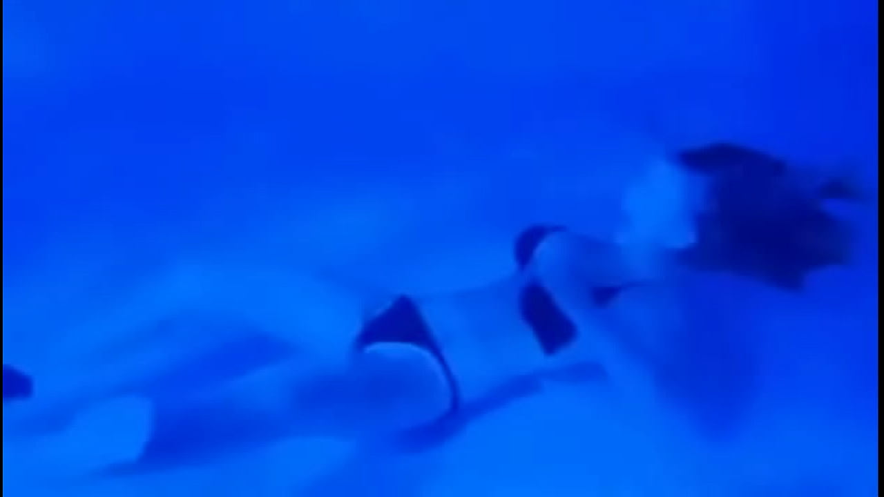 Night Swim