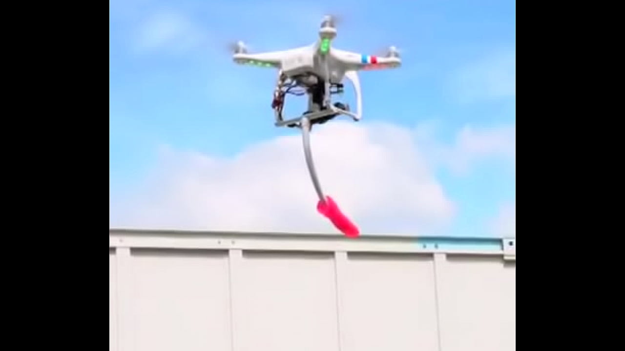 drone sex