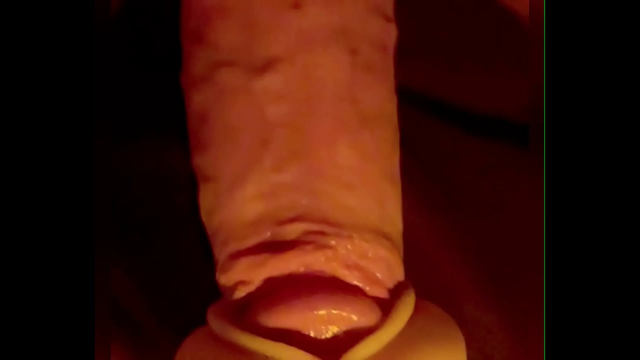 Foreskin on a big cock