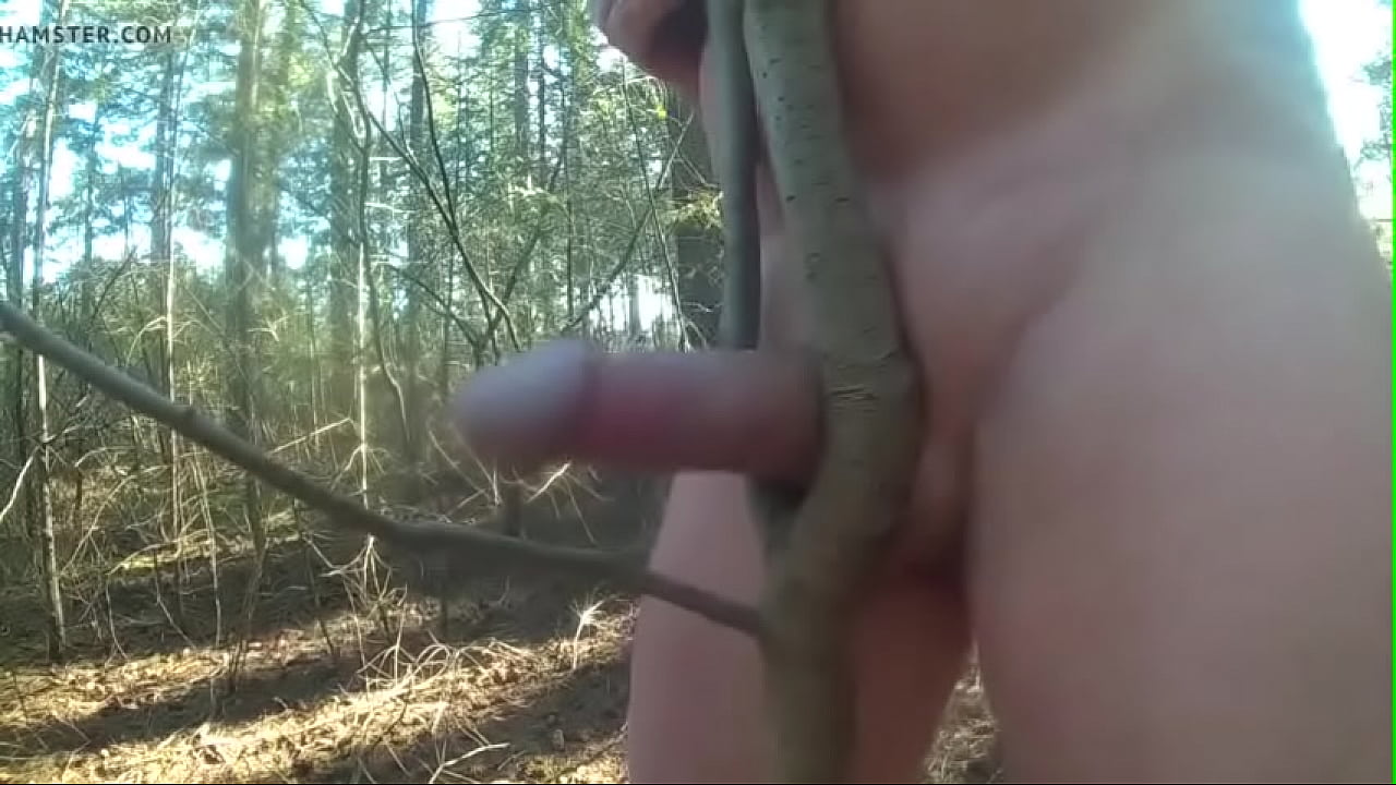 fuck tree deep forest