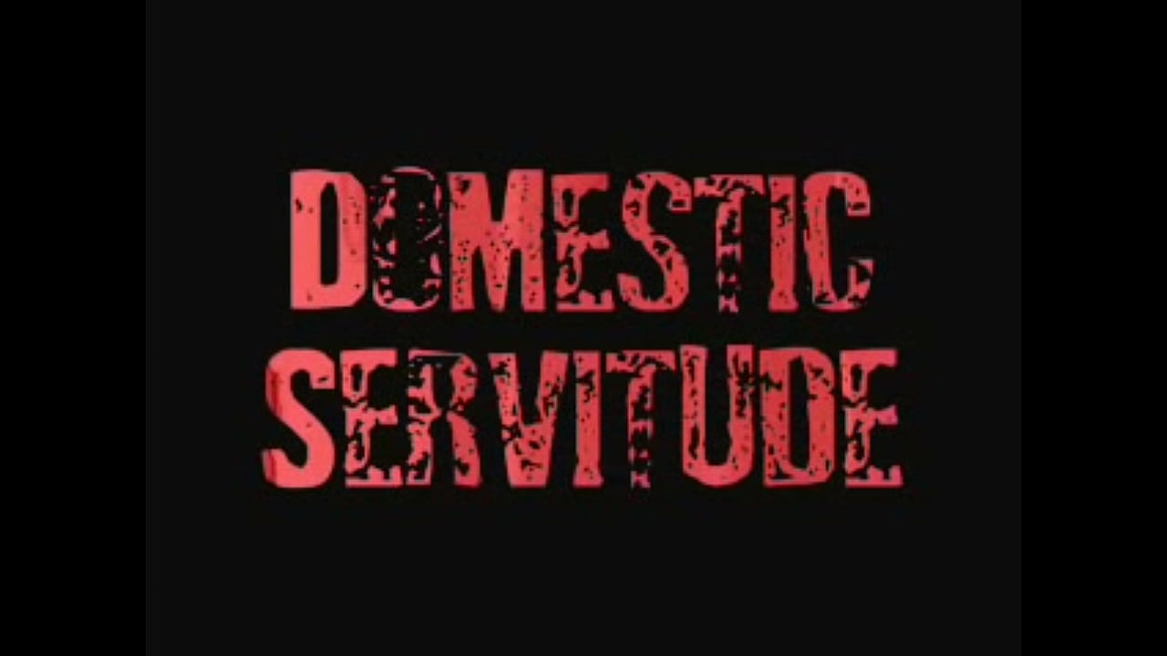 DomesticeServitudeTwo