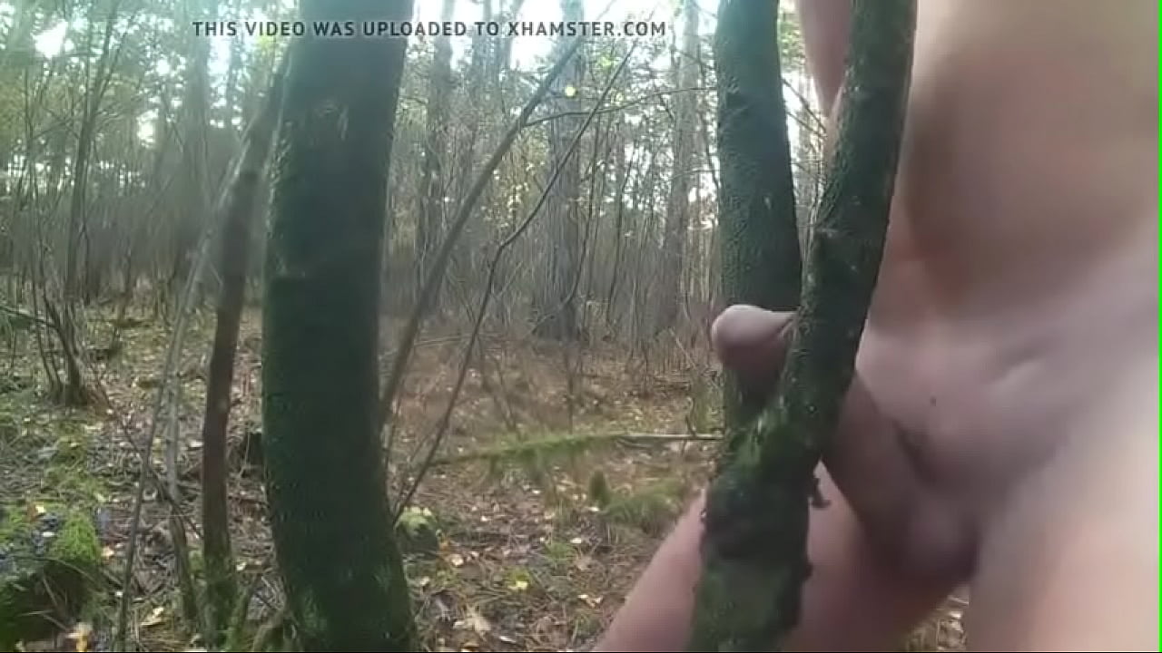 fuck tree deep forest