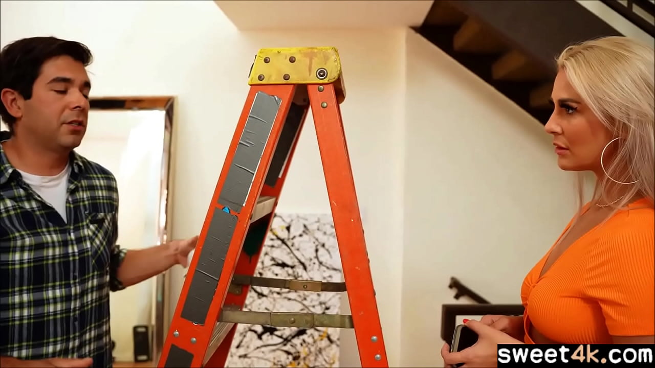 handyman needs a bigger ladder
