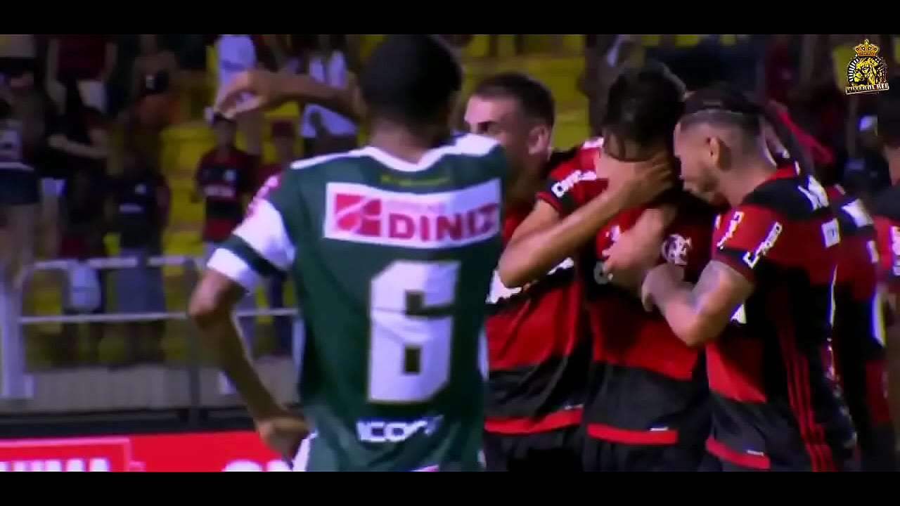 Gozei vendo esse gol do LUCAS PAQUETÁ