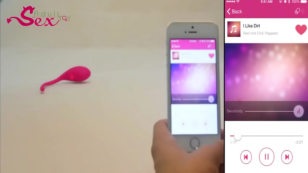 Remote Control Pussy Vibrator For Female