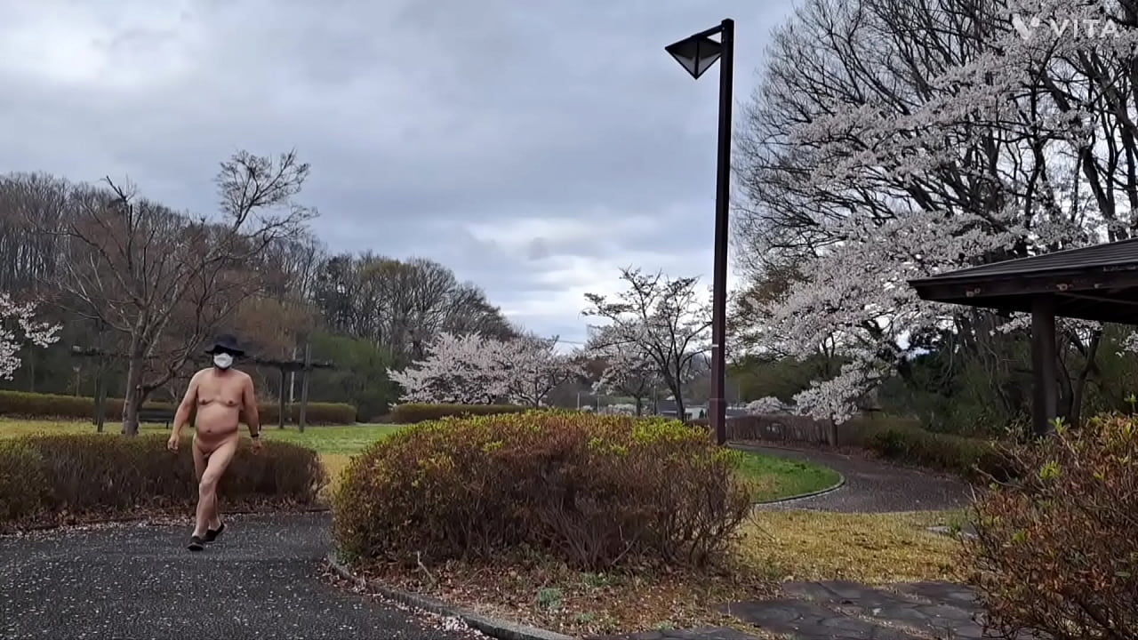 ドリチン(包茎，foreskin)露出～全裸で桜咲く公園を散歩