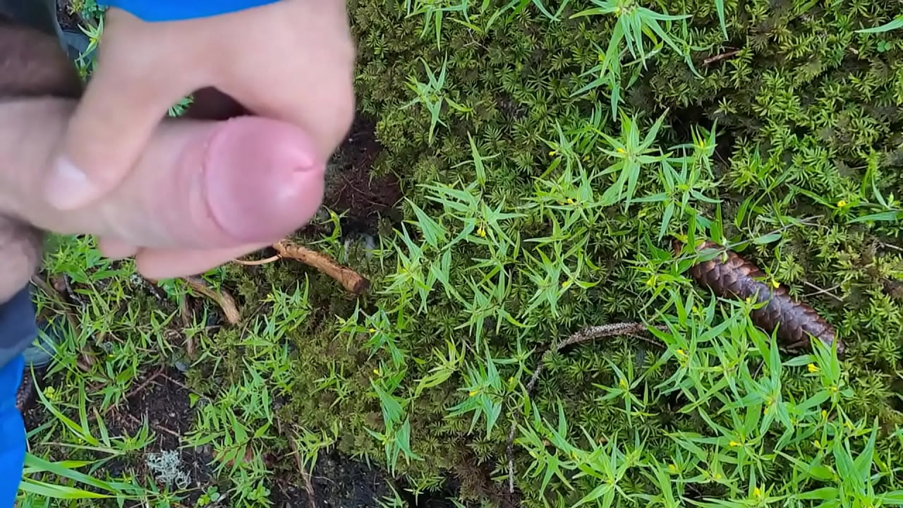 Chico en el bosque, orgasmo