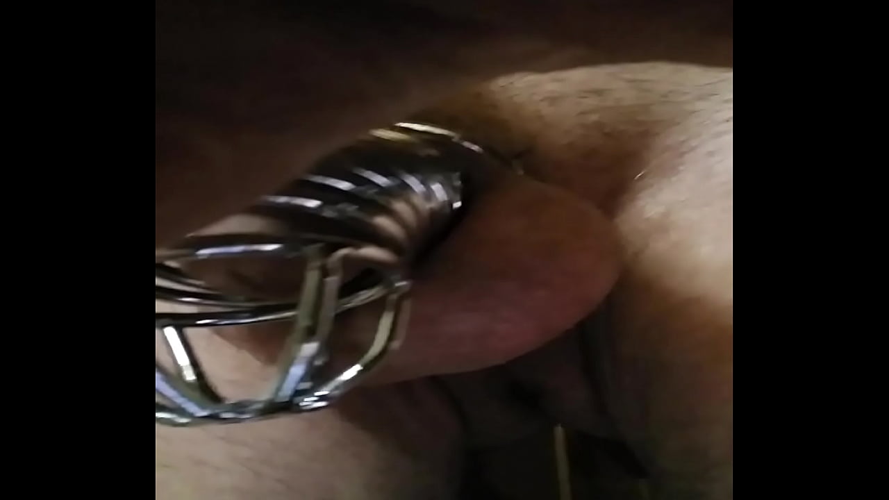 Penis in chastity