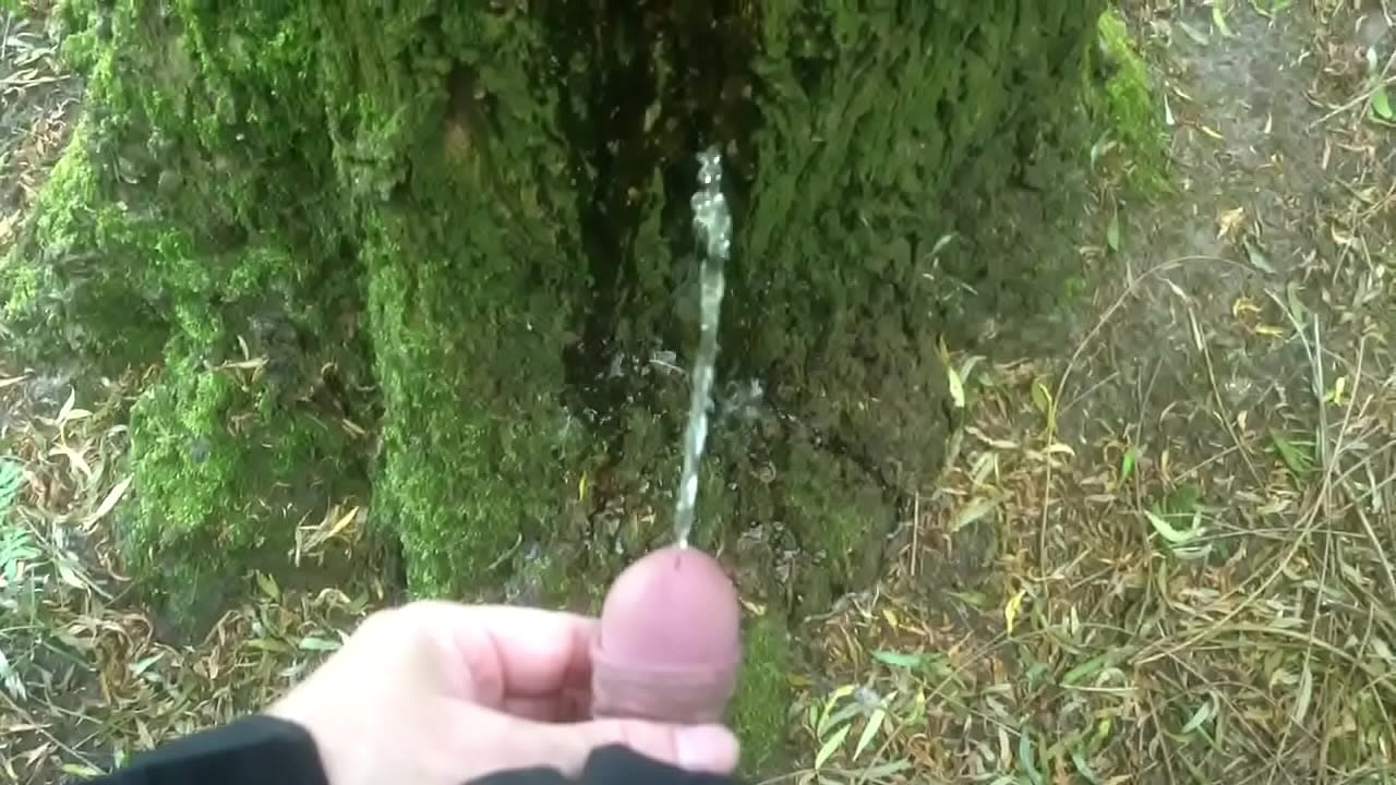 Man pissing on a tree