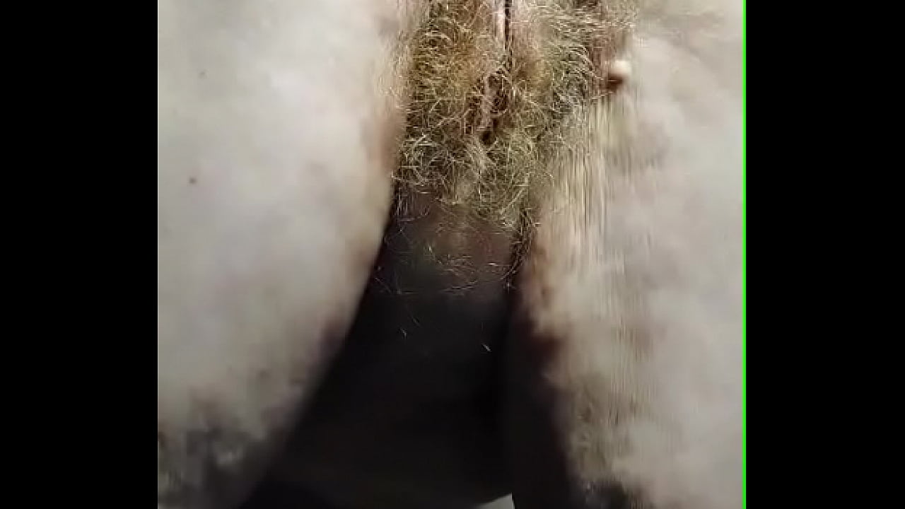 Granny fucks hairy pussy with cucumber